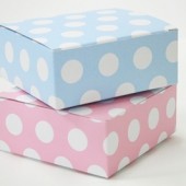 박스 - 칼라박스