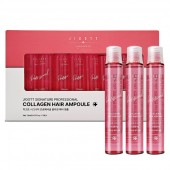 지고트 시그니처 프로페셔널 콜라겐 헤어앰플
