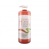 한나 컬러앤펌 애시드 클리닉 샴푸